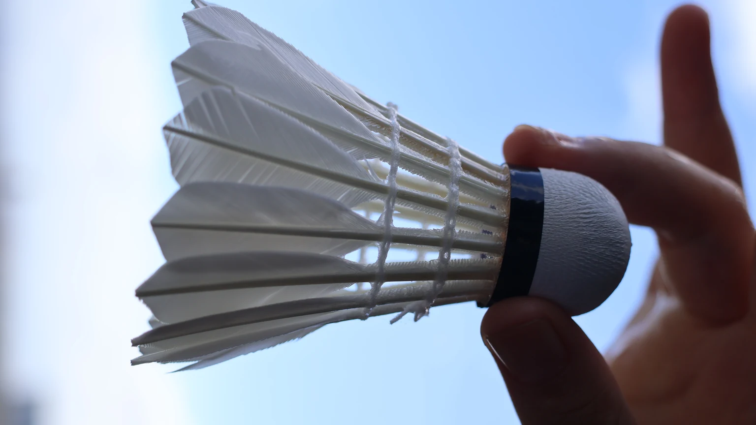 Goose vs. Duck Feather Shuttlecocks: Technical Comparison Guide